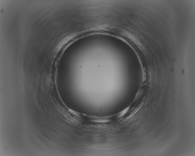 X0000071361308200606231149