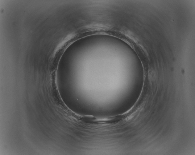 X0000071361309200606231149