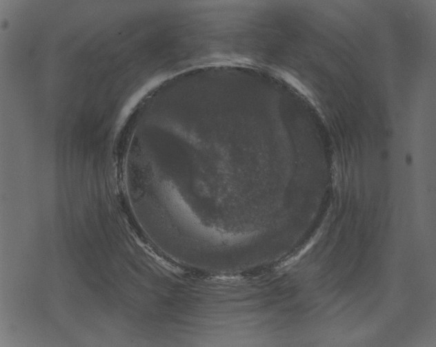 X0000071361310200606231149