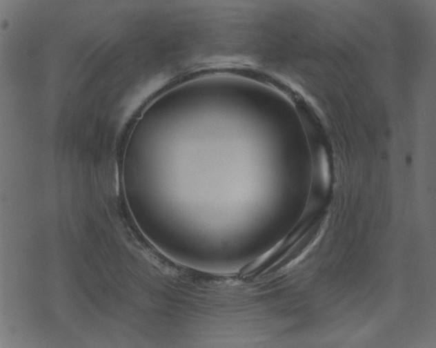 X0000071361317200606231149
