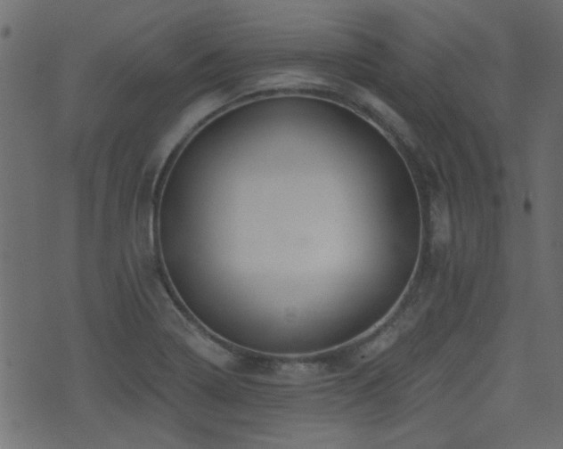 X0000071361322200606231149