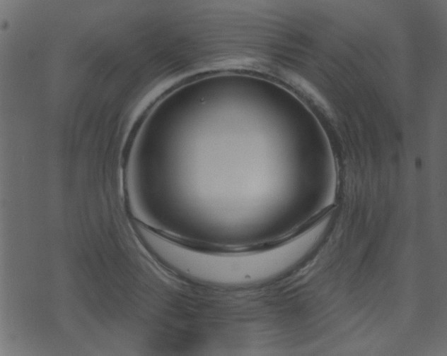X0000071361324200606231149