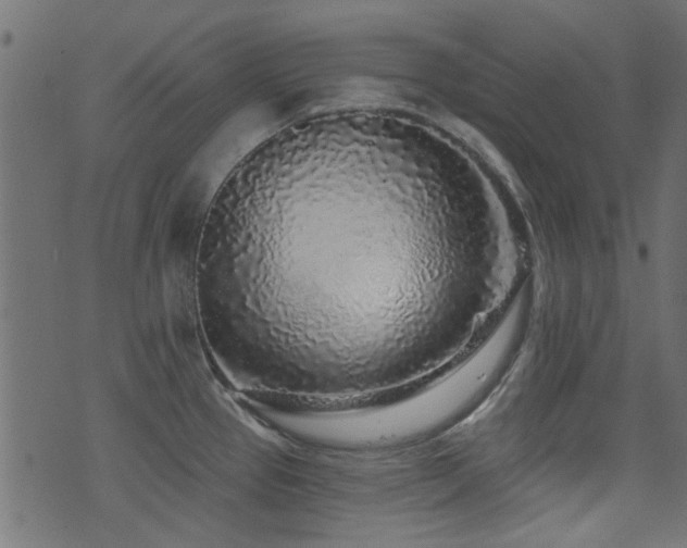 X0000071361337200606231149