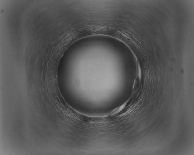 X0000071361345200606231149