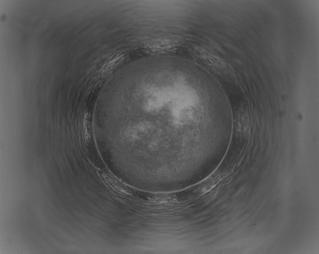 X0000071361346200606231149