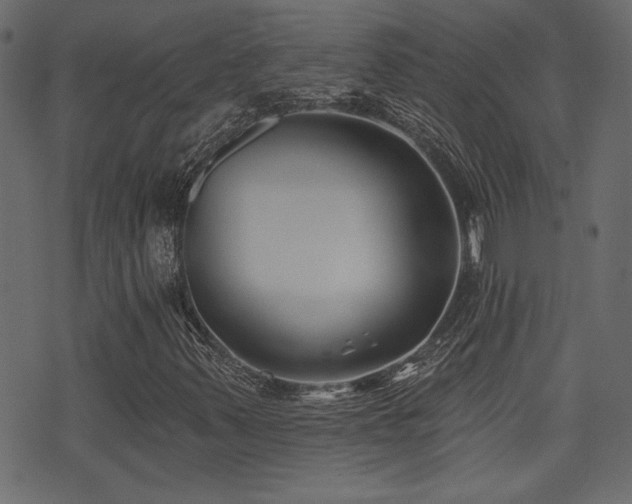 X0000071361347200606231149