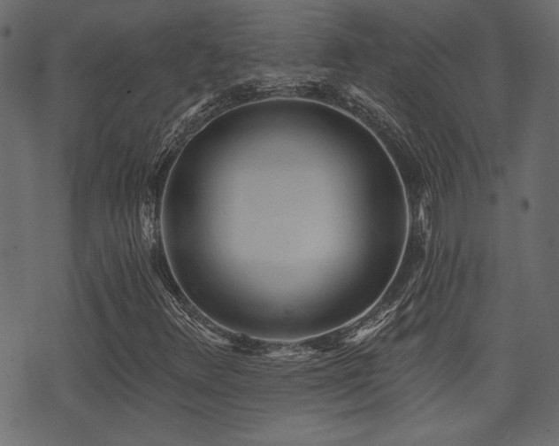 X0000071361348200606231149