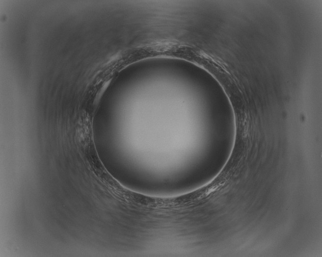 X0000071361349200606231149