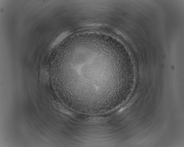 X0000071361354200606231149