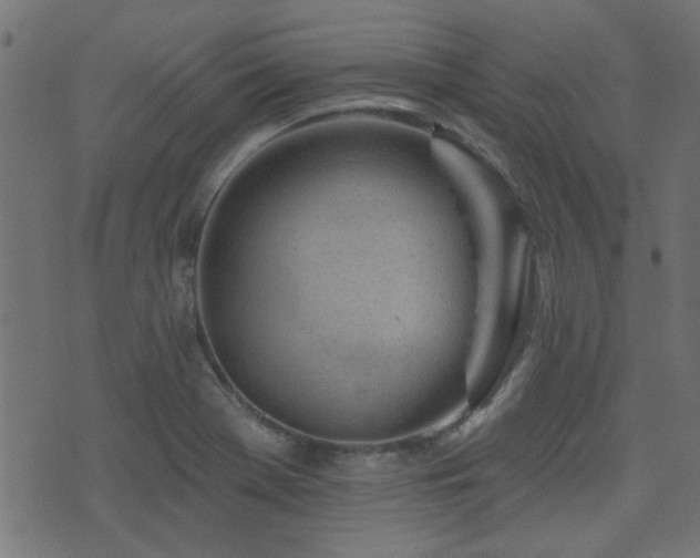 X0000071361369200606231148
