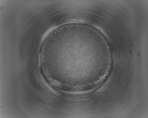 X0000071361371200606231148