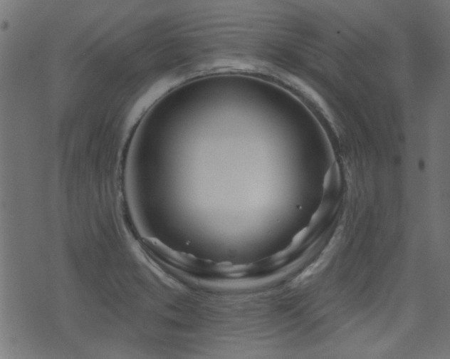 X0000071361373200606231148