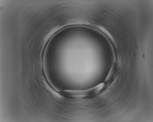 X0000071361380200606231148