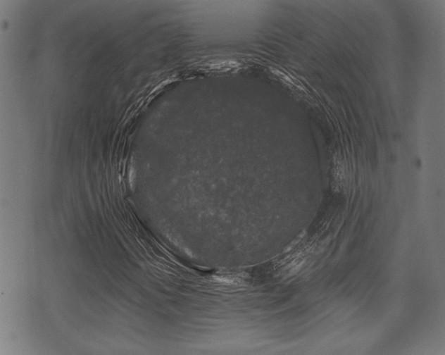 X0000071361394200606231147