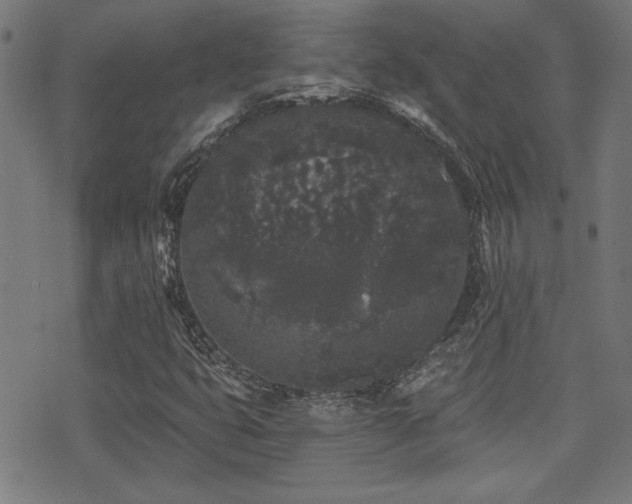 X0000071361399200606231147
