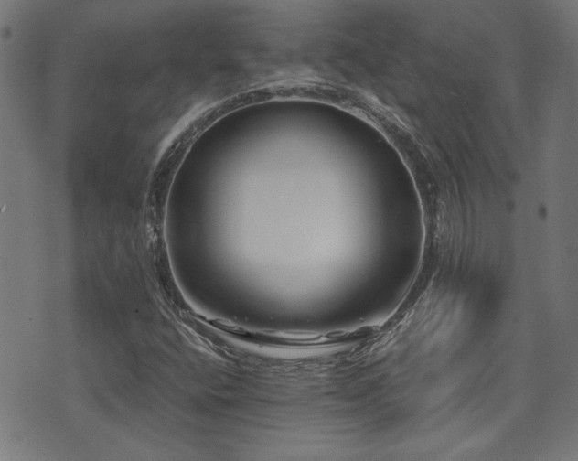 X0000071361400200606231147