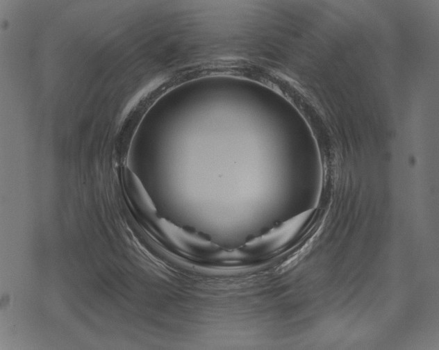 X0000071361402200606231147