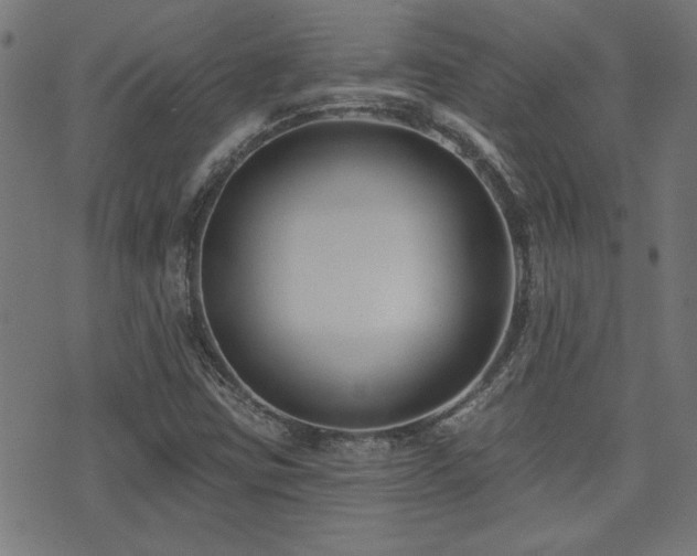 X0000071361403200606231147