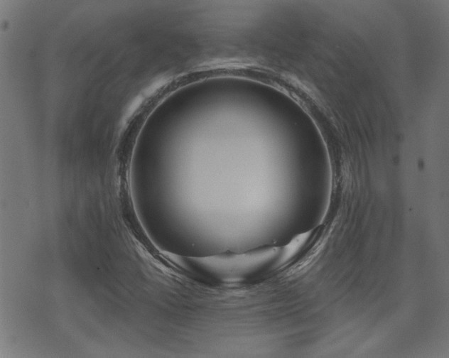 X0000071361406200606231147