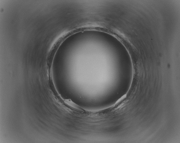 X0000071361408200606231147