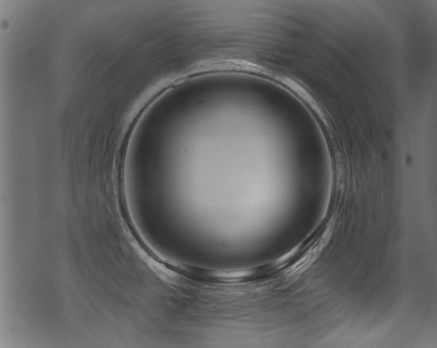 X0000071361438200606231148