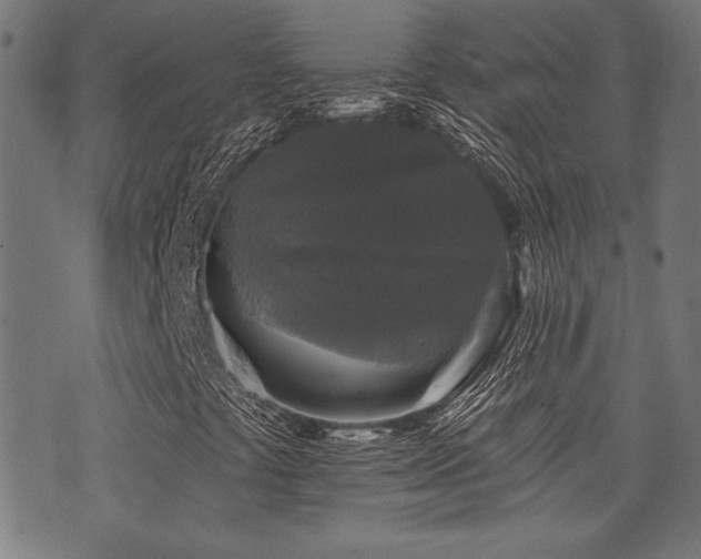 X0000071361441200606231147