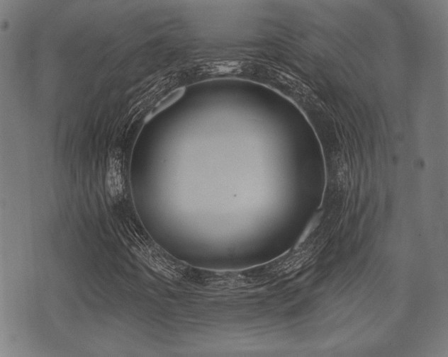X0000071361442200606231147