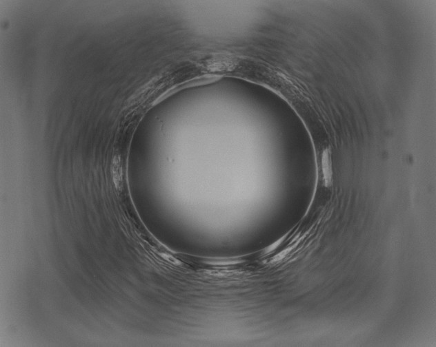 X0000071361443200606231147