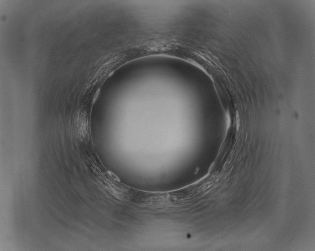 X0000071361444200606231147