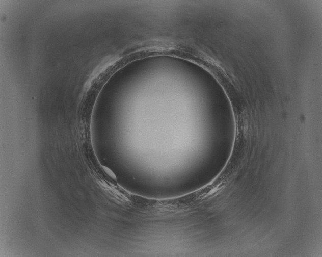 X0000071361448200606231147