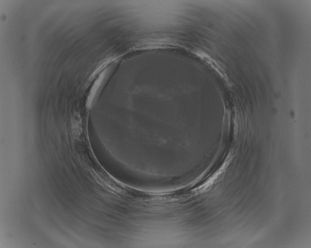 X0000071361449200606231147