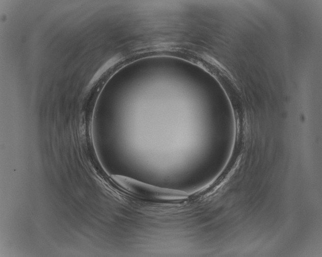 X0000071361450200606231147