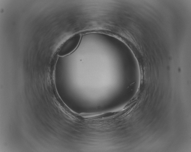 X0000071361452200606231147