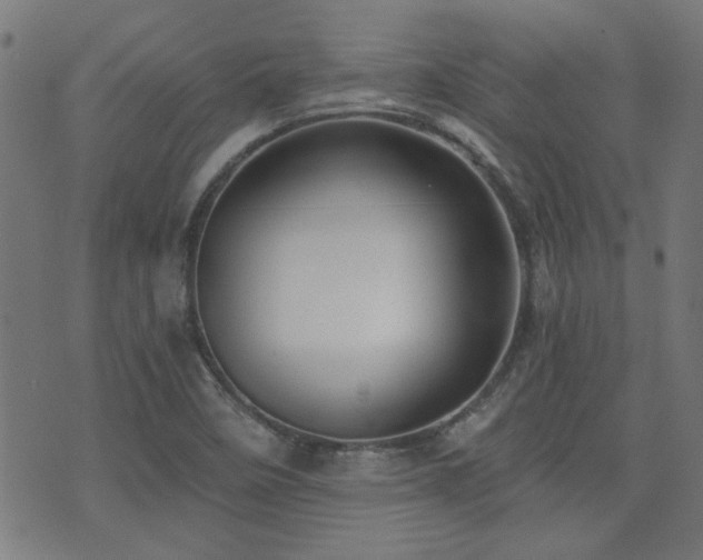 X0000071361458200606231147