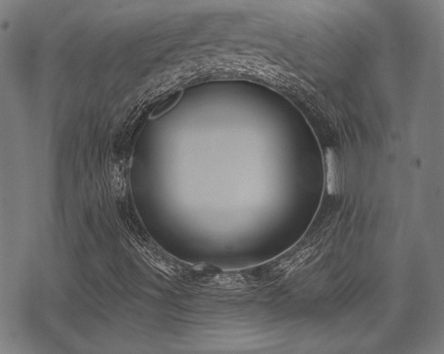 X0000071361491200606231146