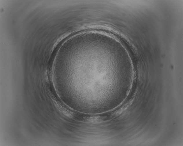 X0000071361497200606231146