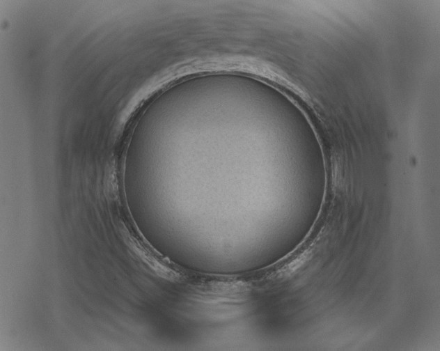 X0000071361498200606231146