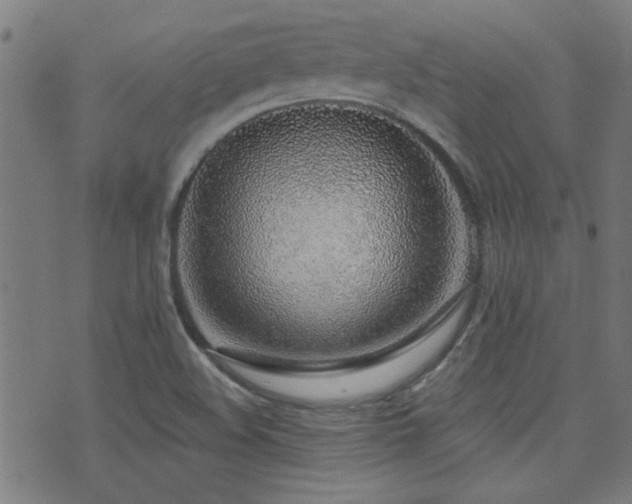 X0000071361508200606231146