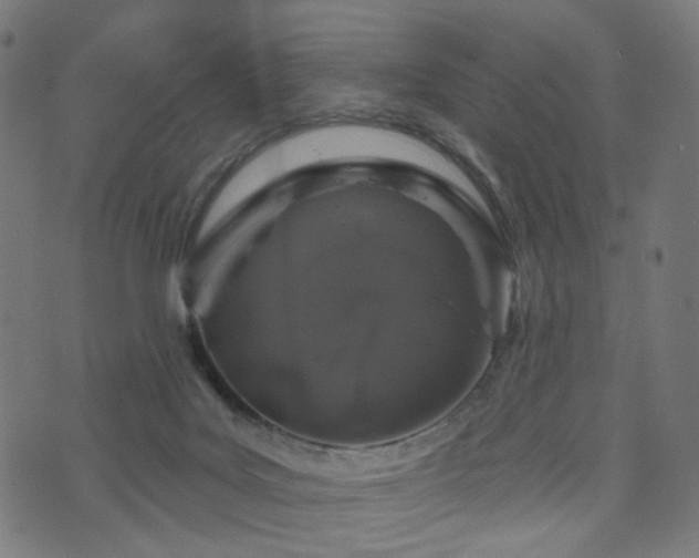 X0000071360027200606261328