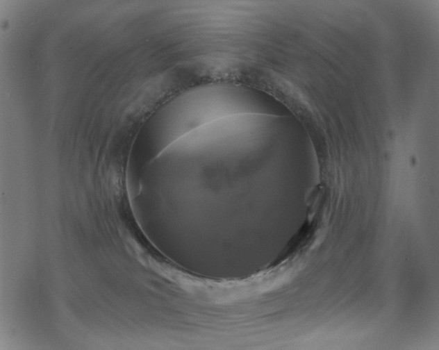 X0000071360039200606261328