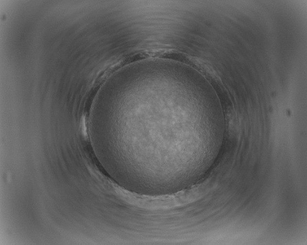 X0000071360042200606261328