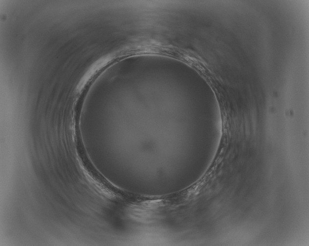 X0000071360054200606261327