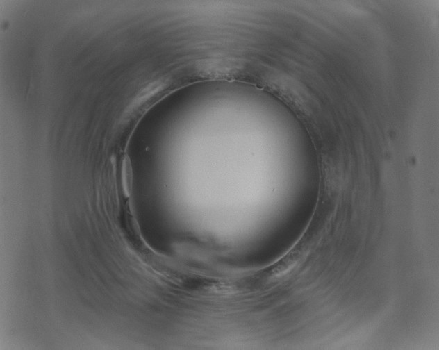 X0000071360071200606261327