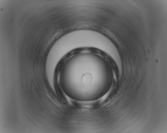 X0000071360072200606261327