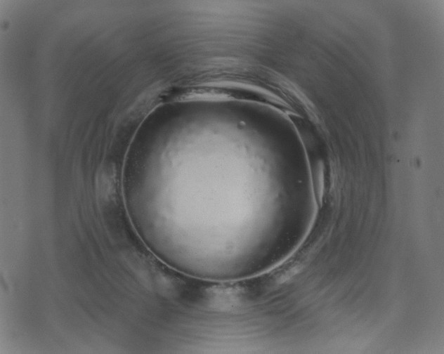 X0000071360073200606261327