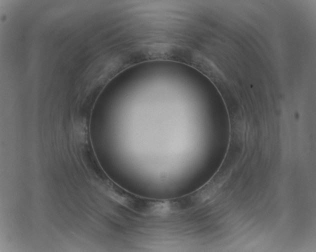 X0000071360083200606261327