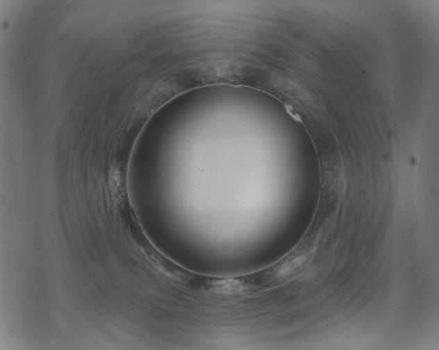 X0000071360087200606261327