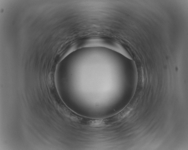 X0000071360088200606261327