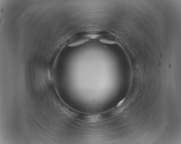 X0000071360089200606261327