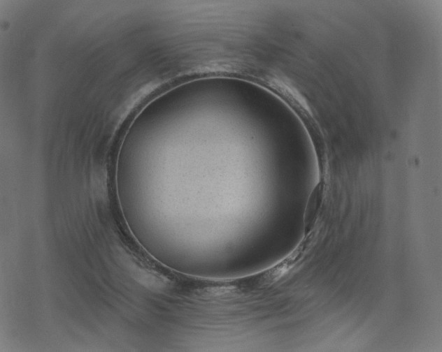 X0000071360108200606261327